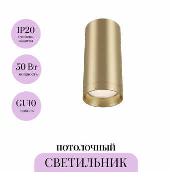 Потолочный светильник MAYTONI FOCUS C010CL-01MG