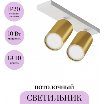 Потолочный светильник MAYTONI FOCUS S C051CL-U-2WMG Потолочный светильник MAYTONI FOCUS S C051CL-U-2WMG