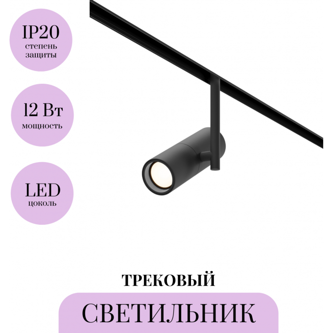 Трековый светильник MAYTONI ELTI TR005-2-12W3K-B