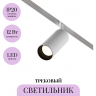 Трековый светильник MAYTONI FOCUS LED TR032-2-12W3K-S-W